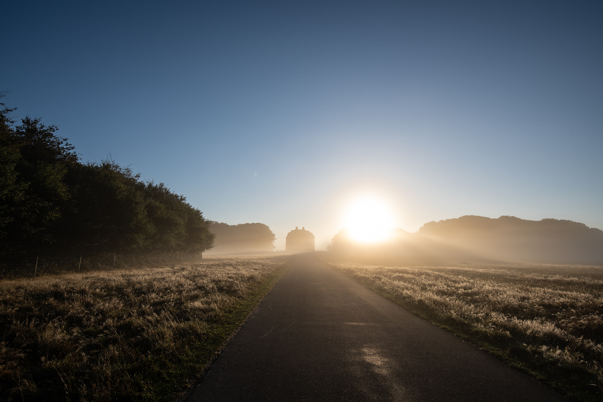 Dyrehaven, Denmark - one sunny autumn morning in October - photo Martin Kaufmann