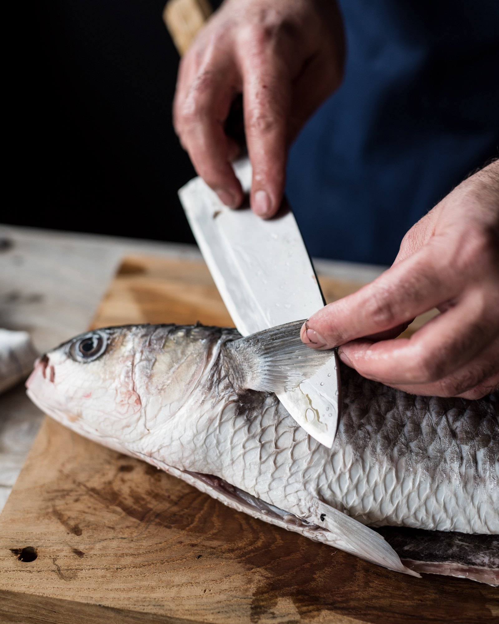 Japanese cookbook - Japansk kogebog - photo Martin Kaufmann