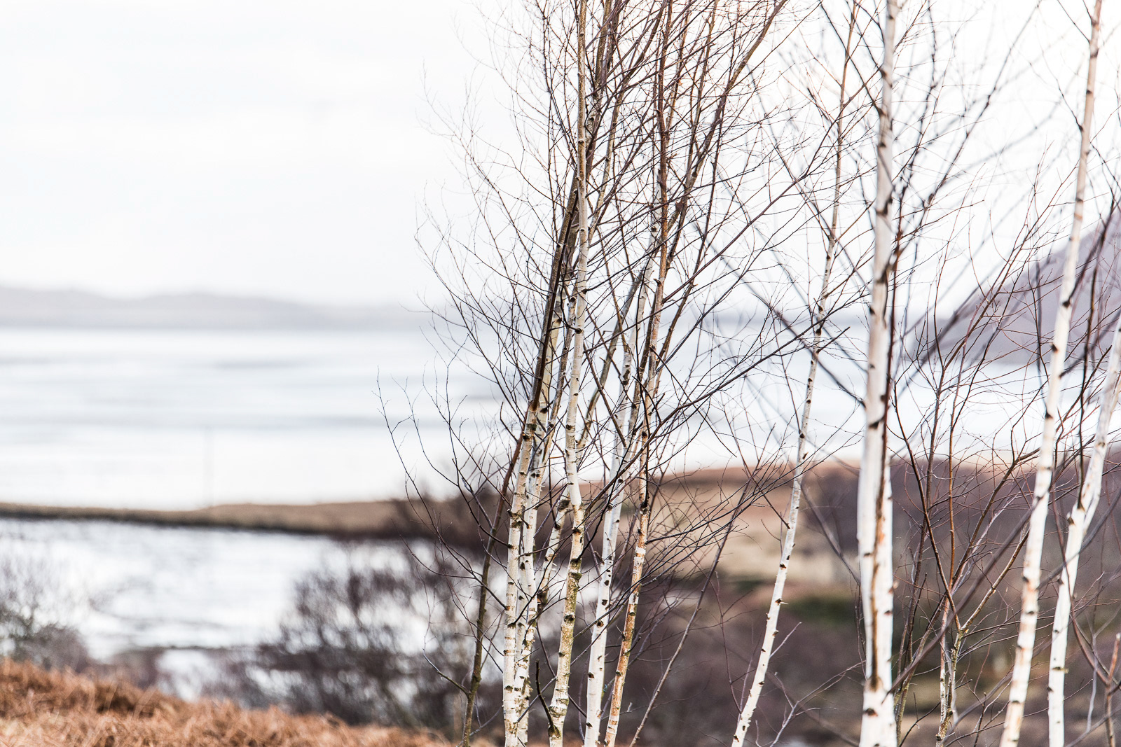 Nature - Kyle House, Northern Scotland - photo Martin Kaufmann