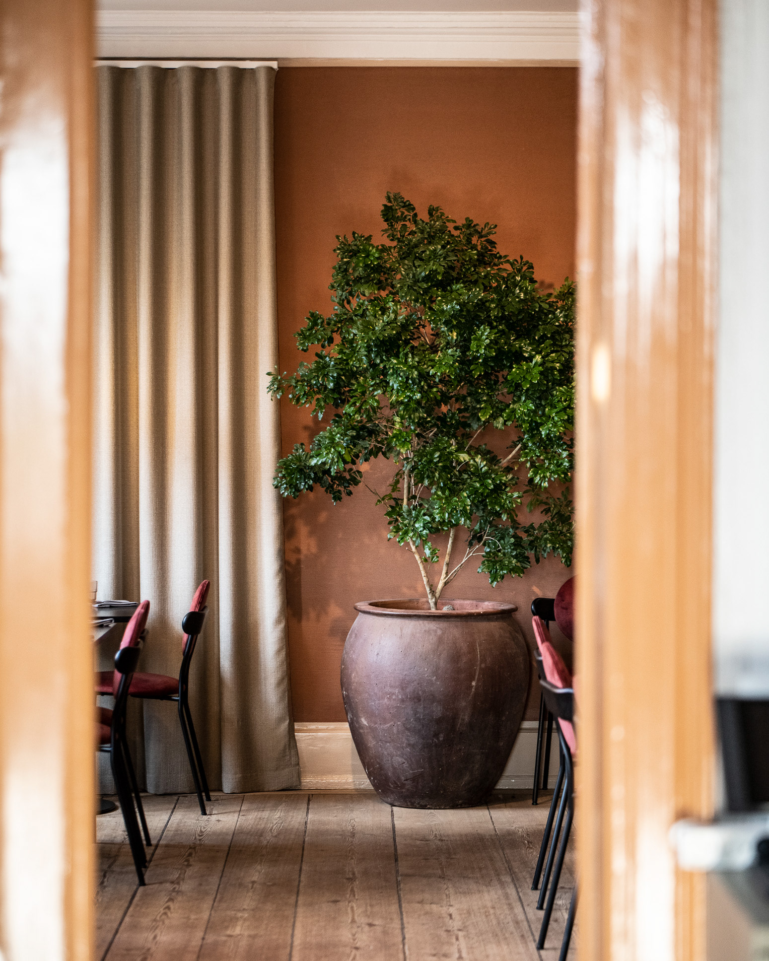 Interior - Restaurant Lola in Copenhagen - photo Martin Kaufmann