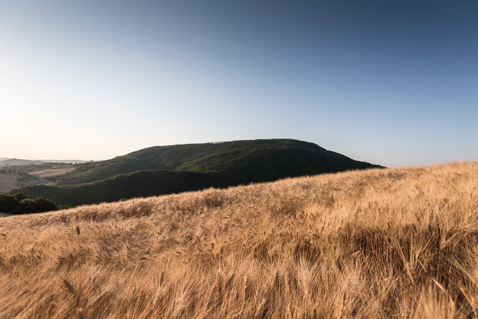 Malatesta Maison, B&B in Marché in Italy - photo Martin Kaufmann