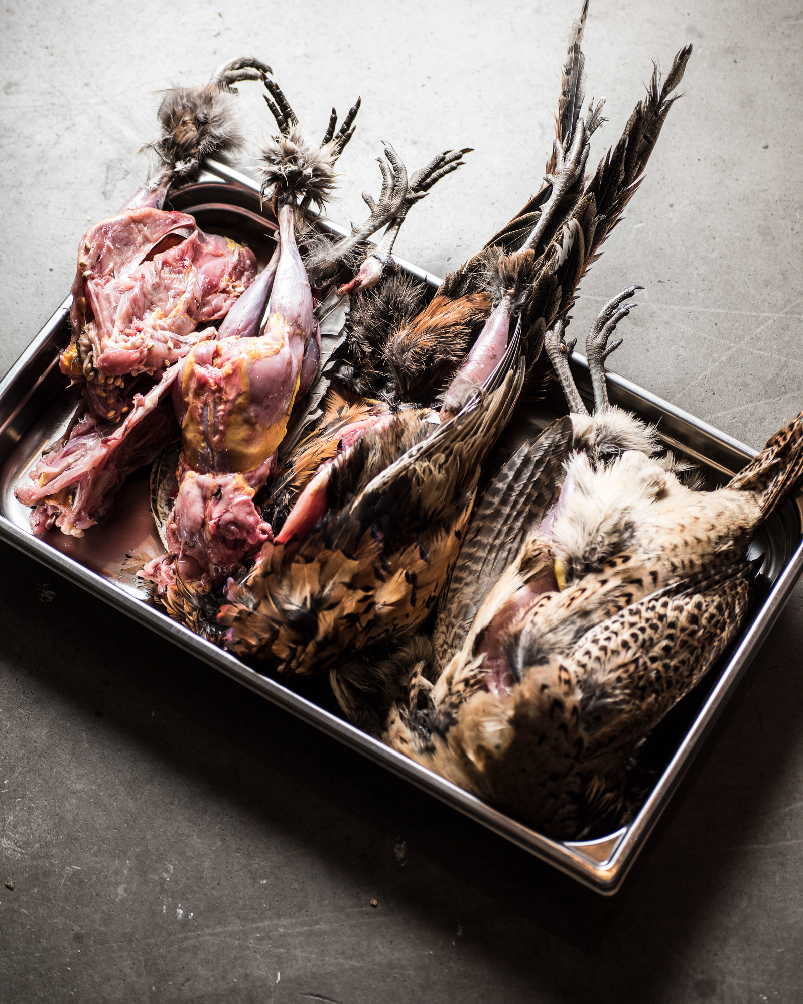 Gill Meller - River Cottage visiting Timm Vladimir's Kitchen in Copenhagen - photo Martin Kaufmann