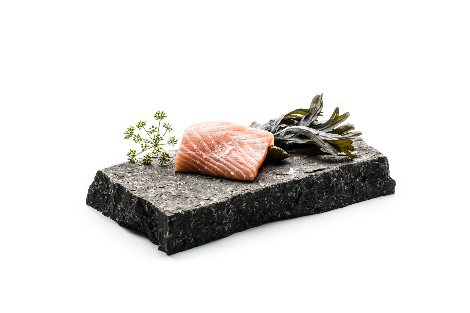 Salmon from the Faroe Islands - working on a branding campaign - photo Martin Kaufmann