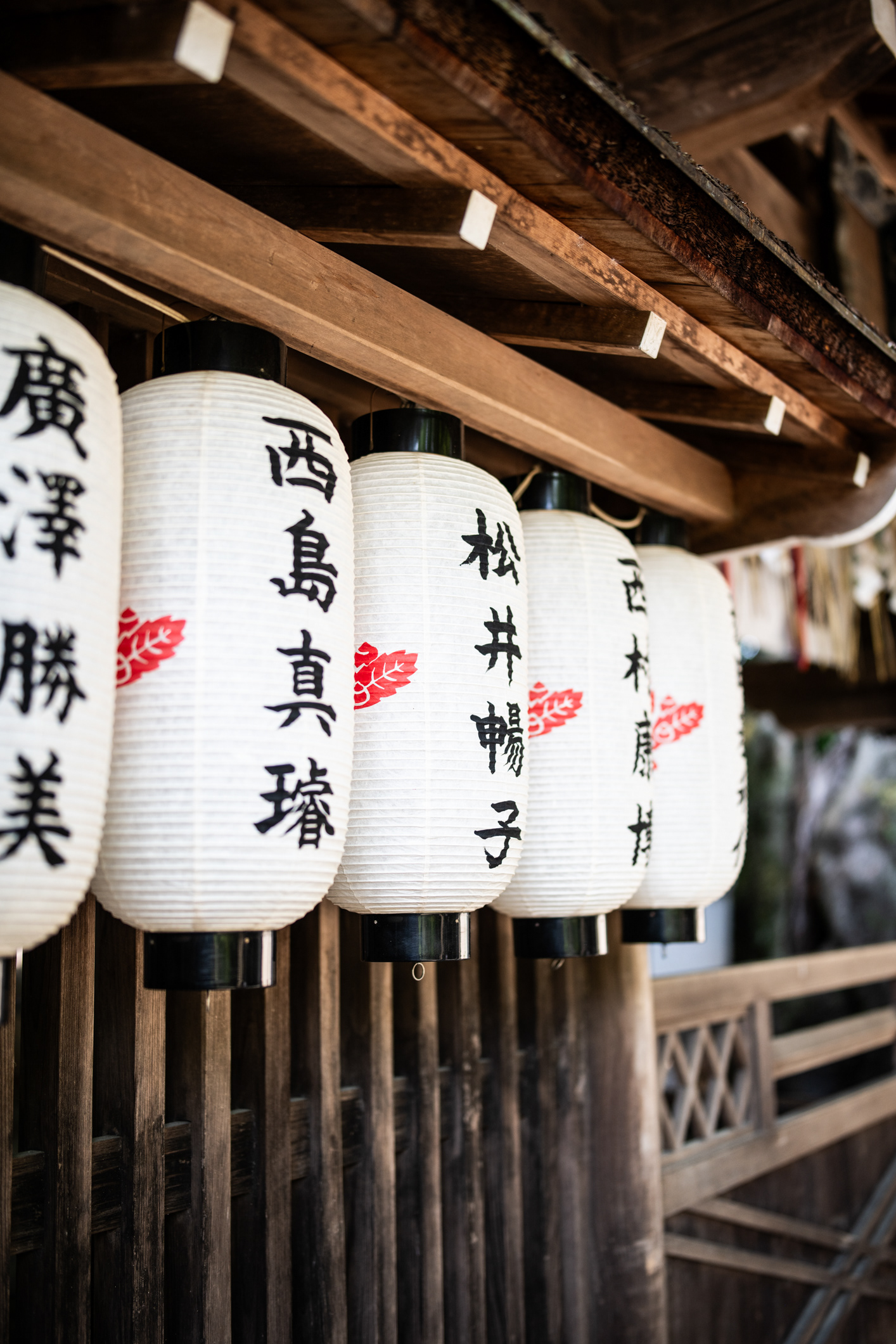 Scenes from Kyoto - Noma pop-up in Japan