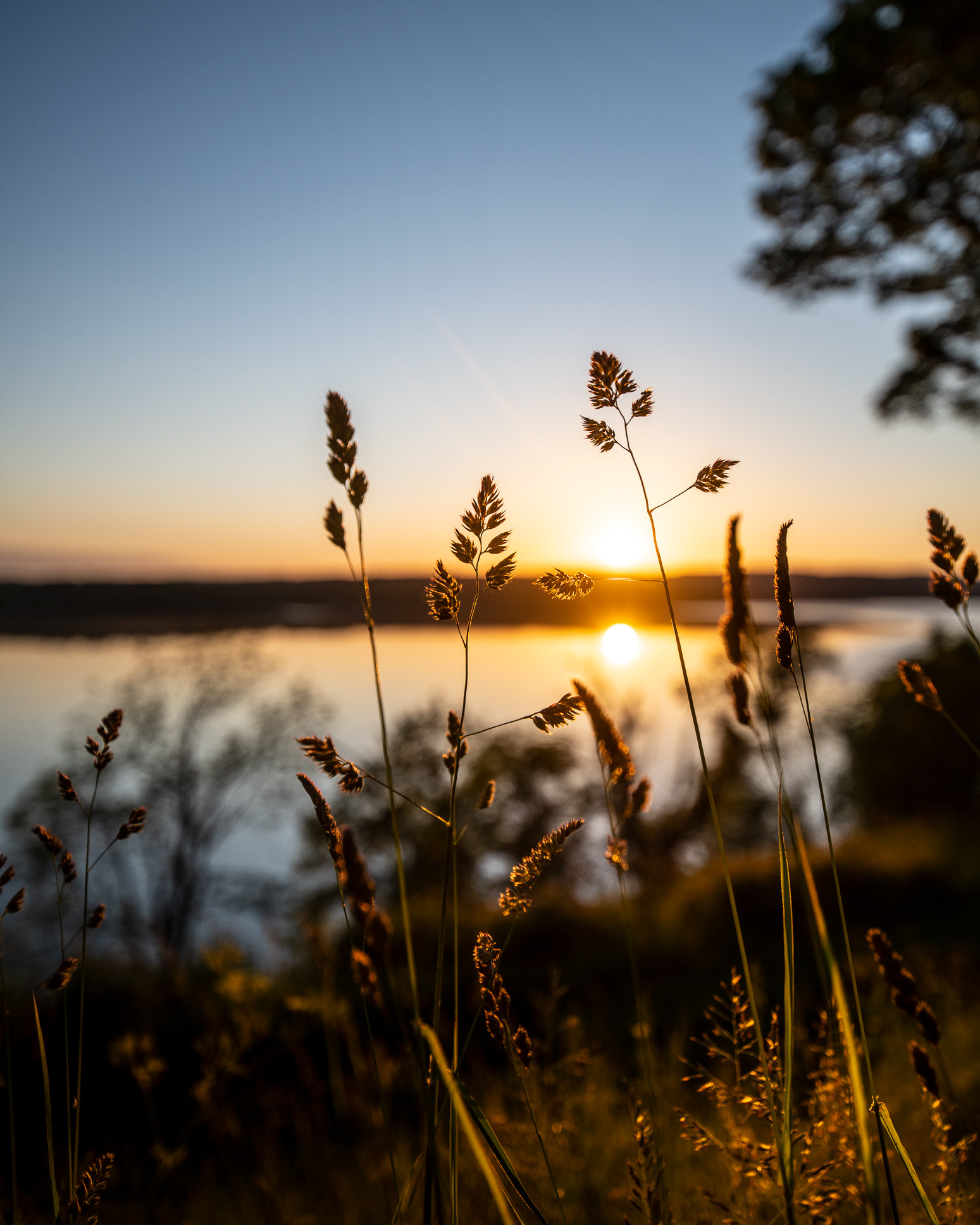 72 Hour Cabin at Henriksholm, Lake Ånimmen in Sweden - photo Martin Kaufmann
