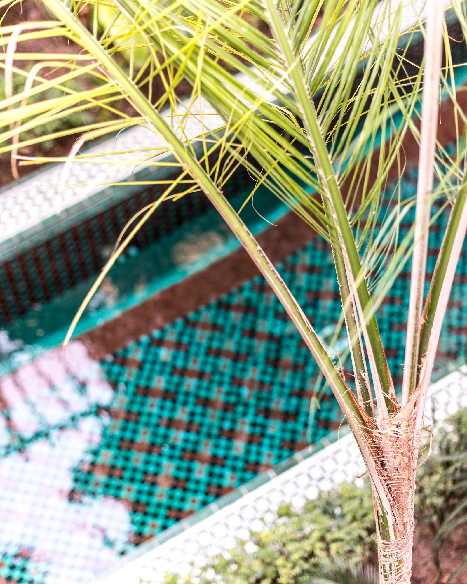 Marrakesh in Morocco - photo Martin Kaufmann