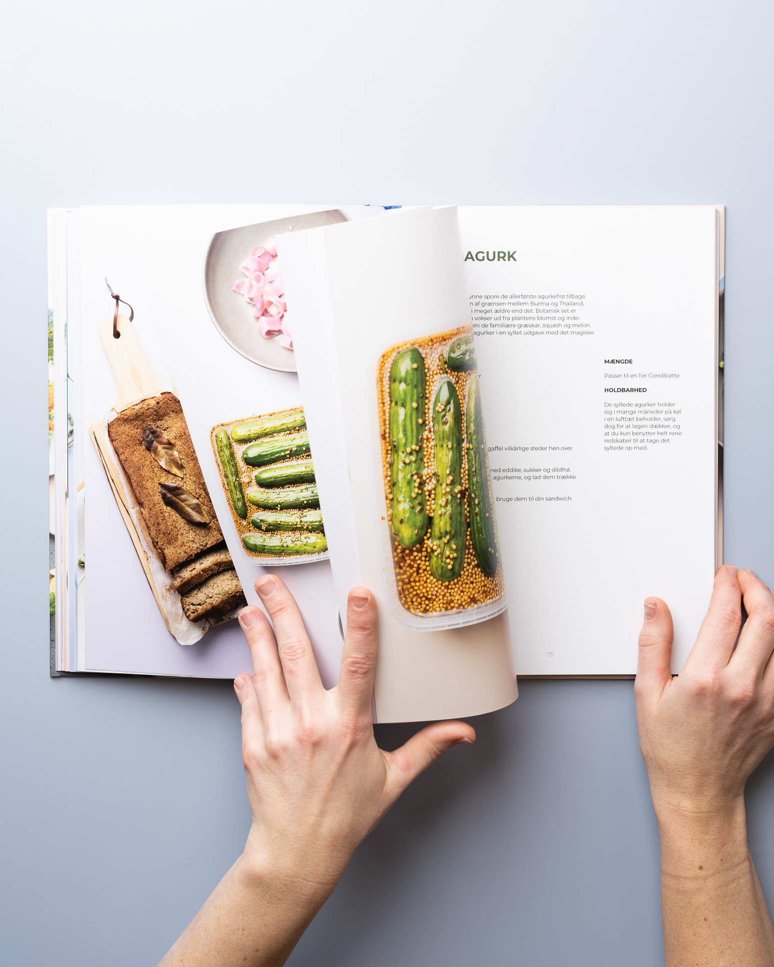 Vegan recipes for cookbook with Dagrofa - photo Martin Kaufmann