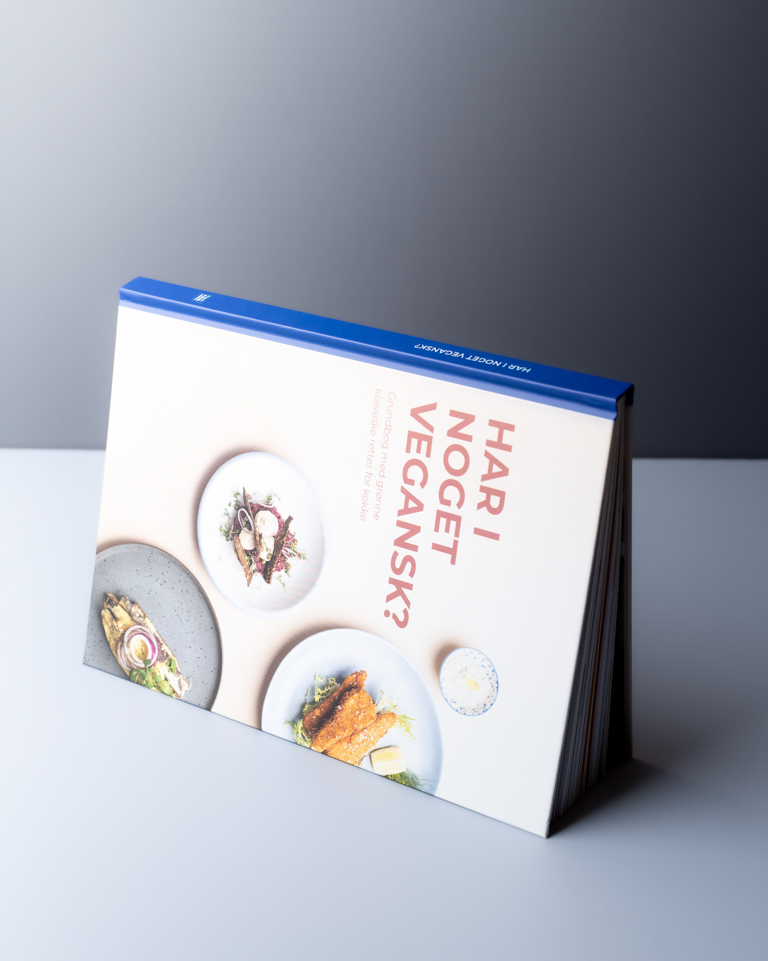 Vegan recipes for cookbook with Dagrofa - photo Martin Kaufmann