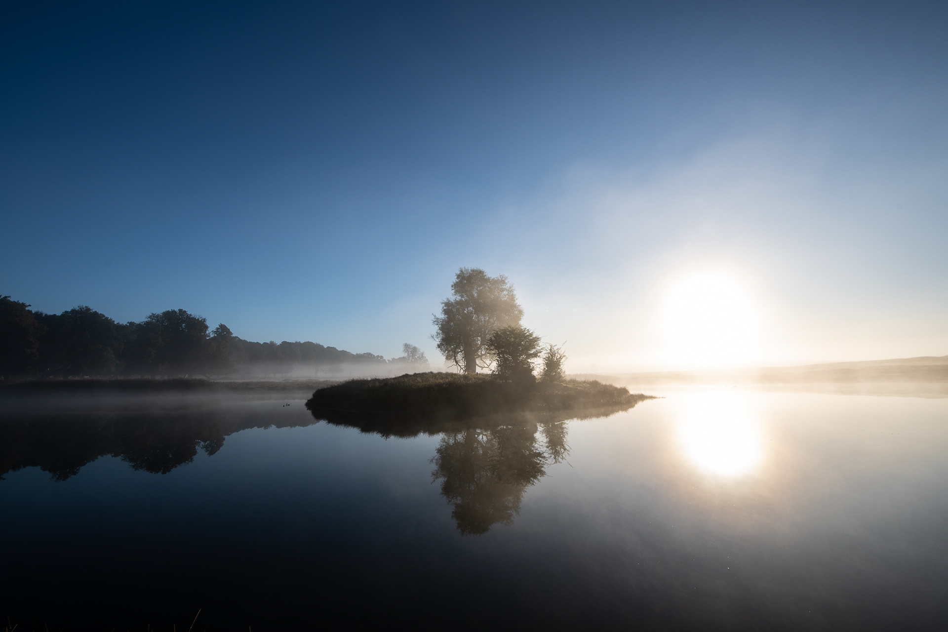 Dyrehaven, Denmark - one sunny autumn morning in October - photo Martin Kaufmann