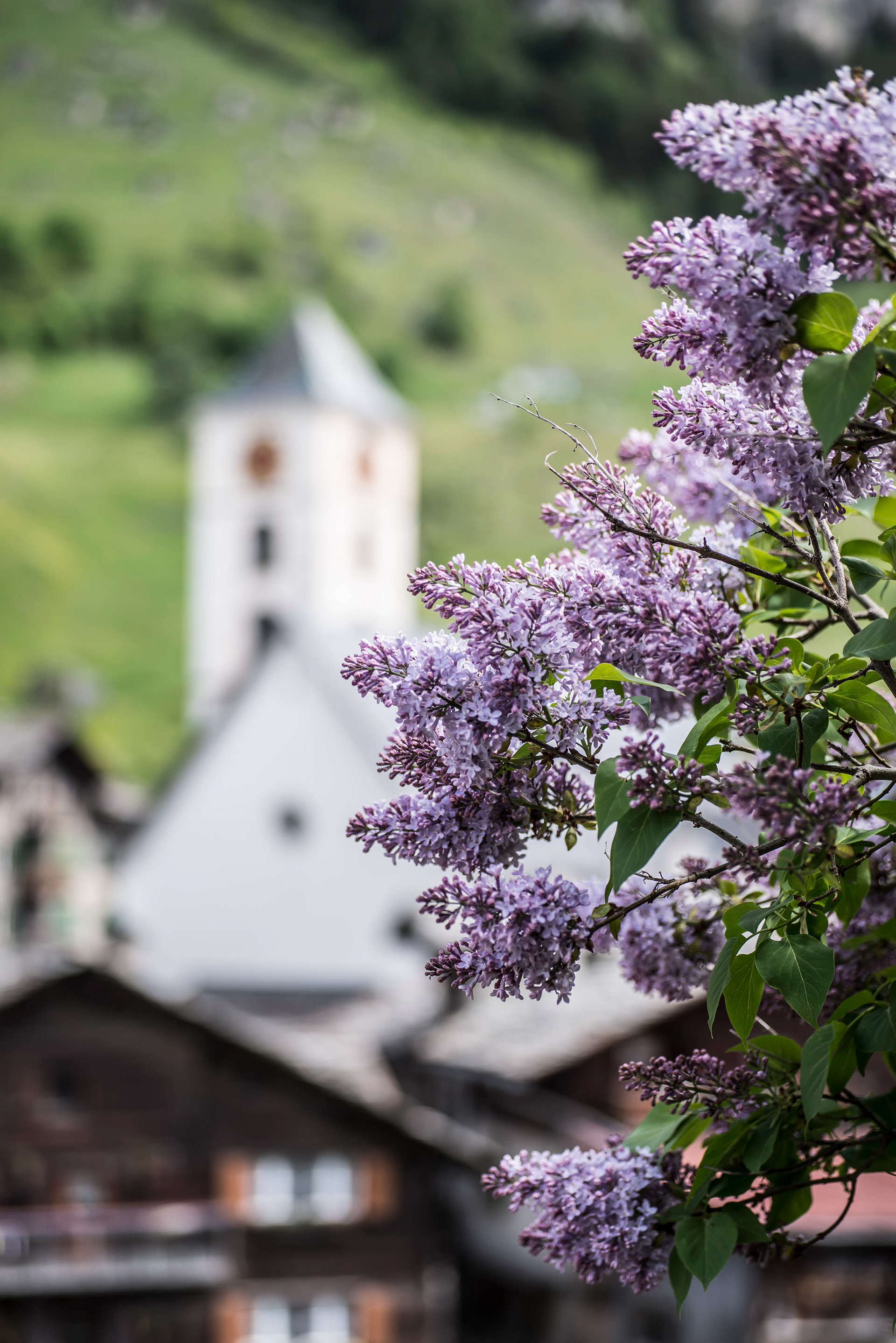 Brücke 49 in Vals, Switzerland - photo Martin Kaufmann