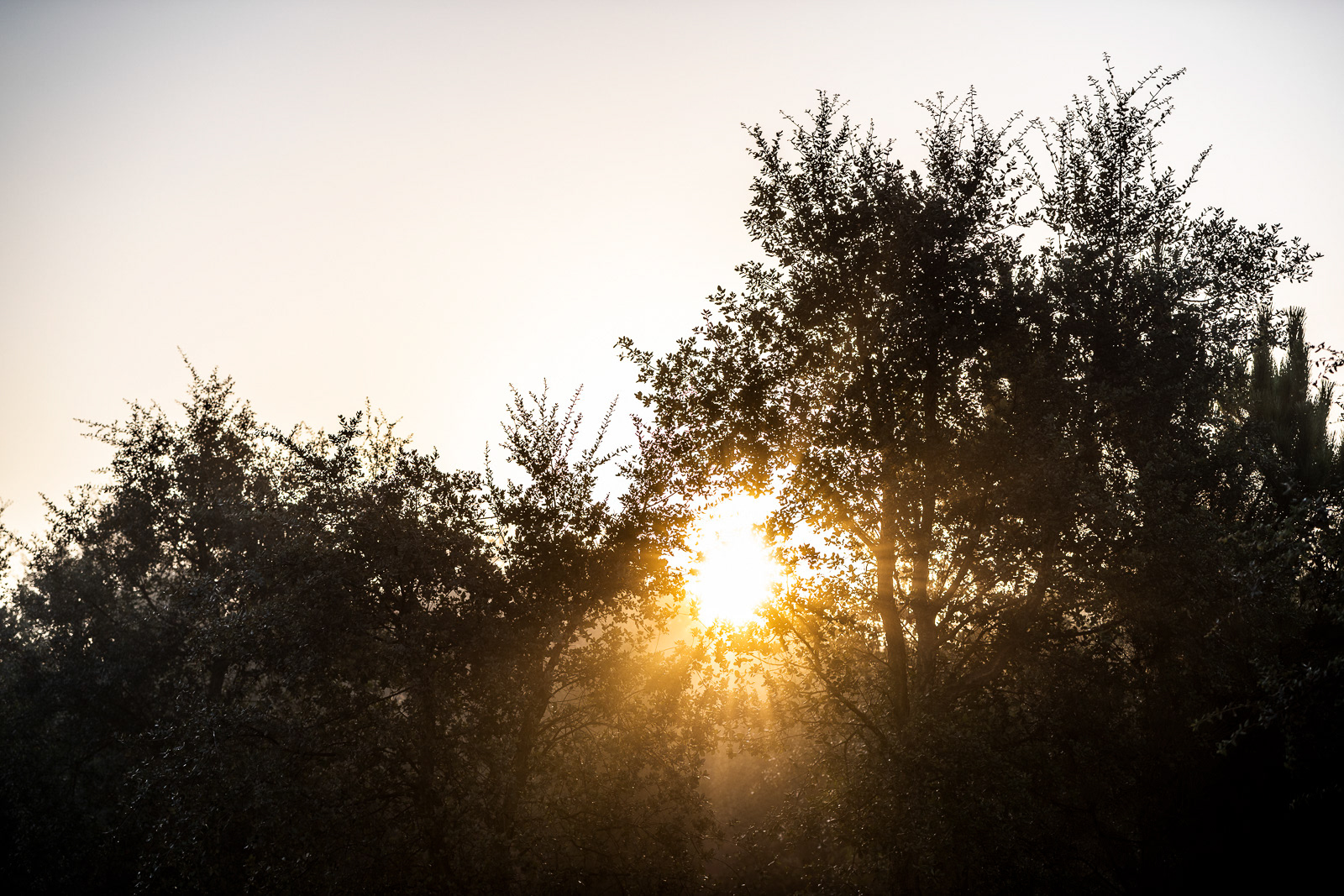 Sunset - Craveiral Farmhouse in Alentejo, Portugal - photo Martin Kaufmann