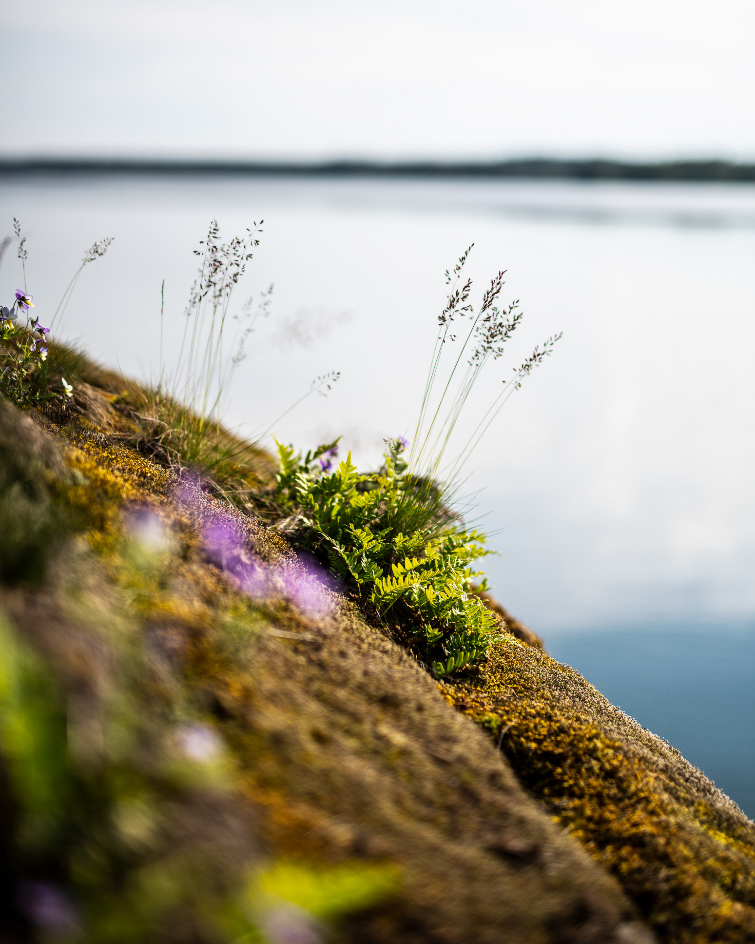 72 Hour Cabin at Henriksholm, Lake Ånimmen in Sweden - photo Martin Kaufmann