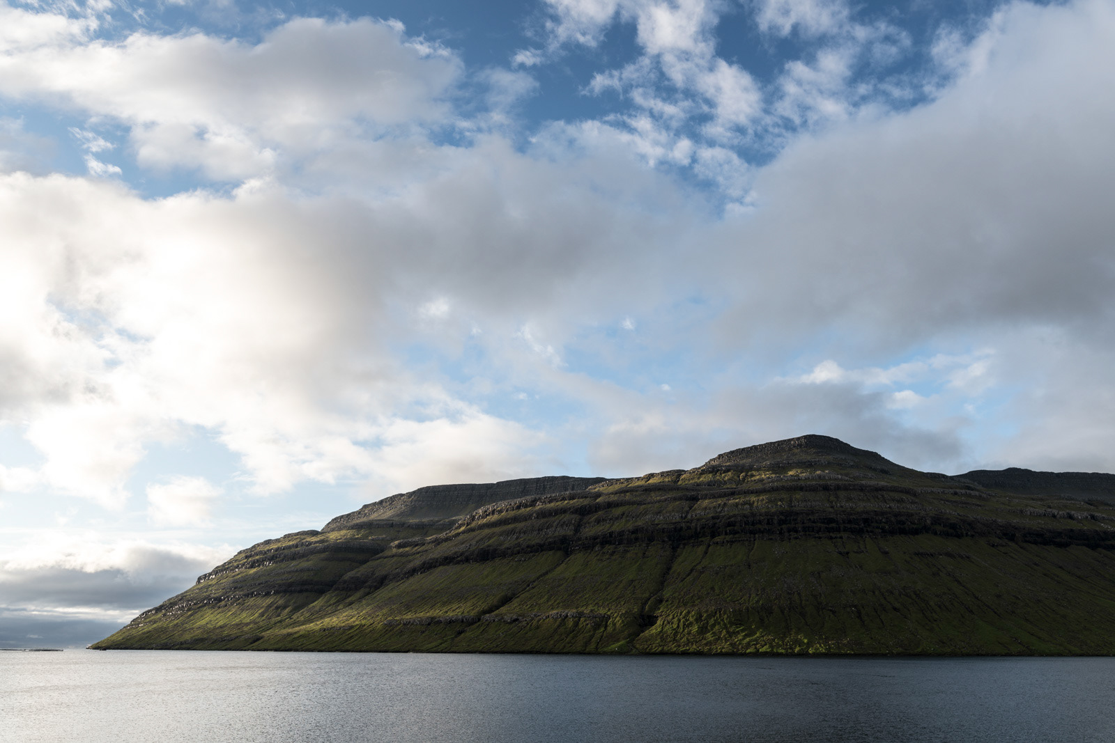 Salmon from the Faroe Islands - working on a branding campaign - photo Martin Kaufmann