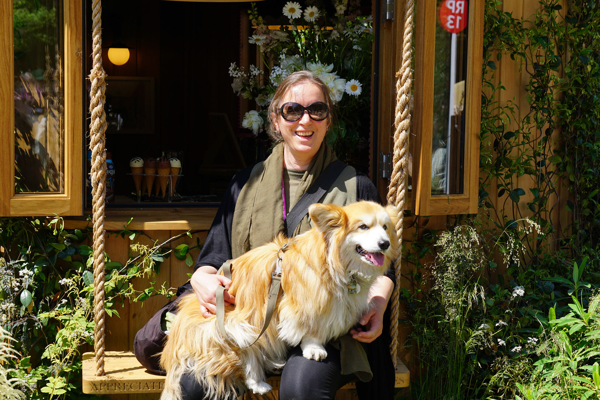 The dog is the star.