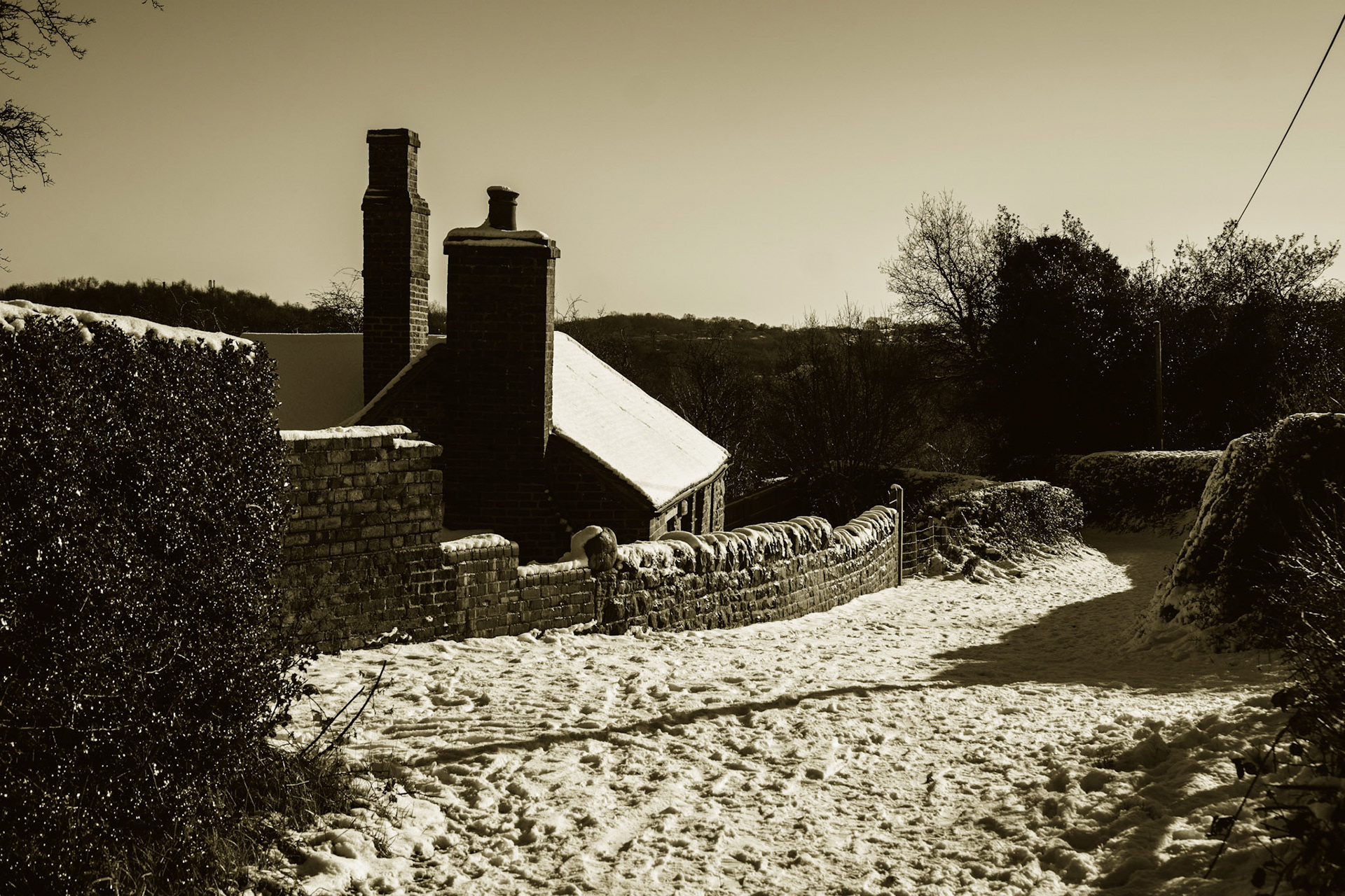 Squatters Cottage 2021