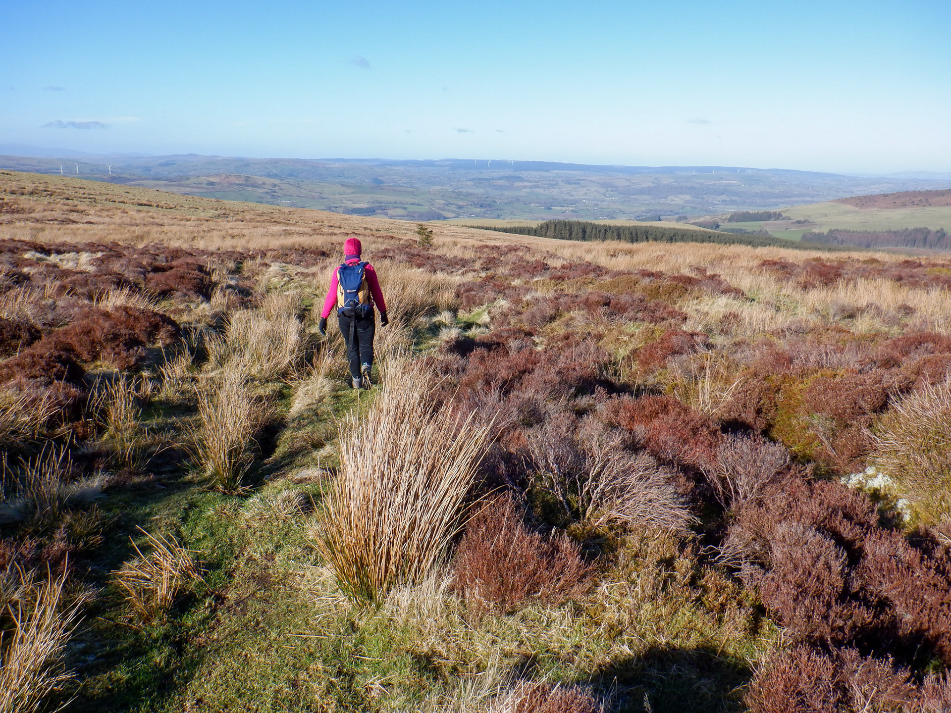 On the moors