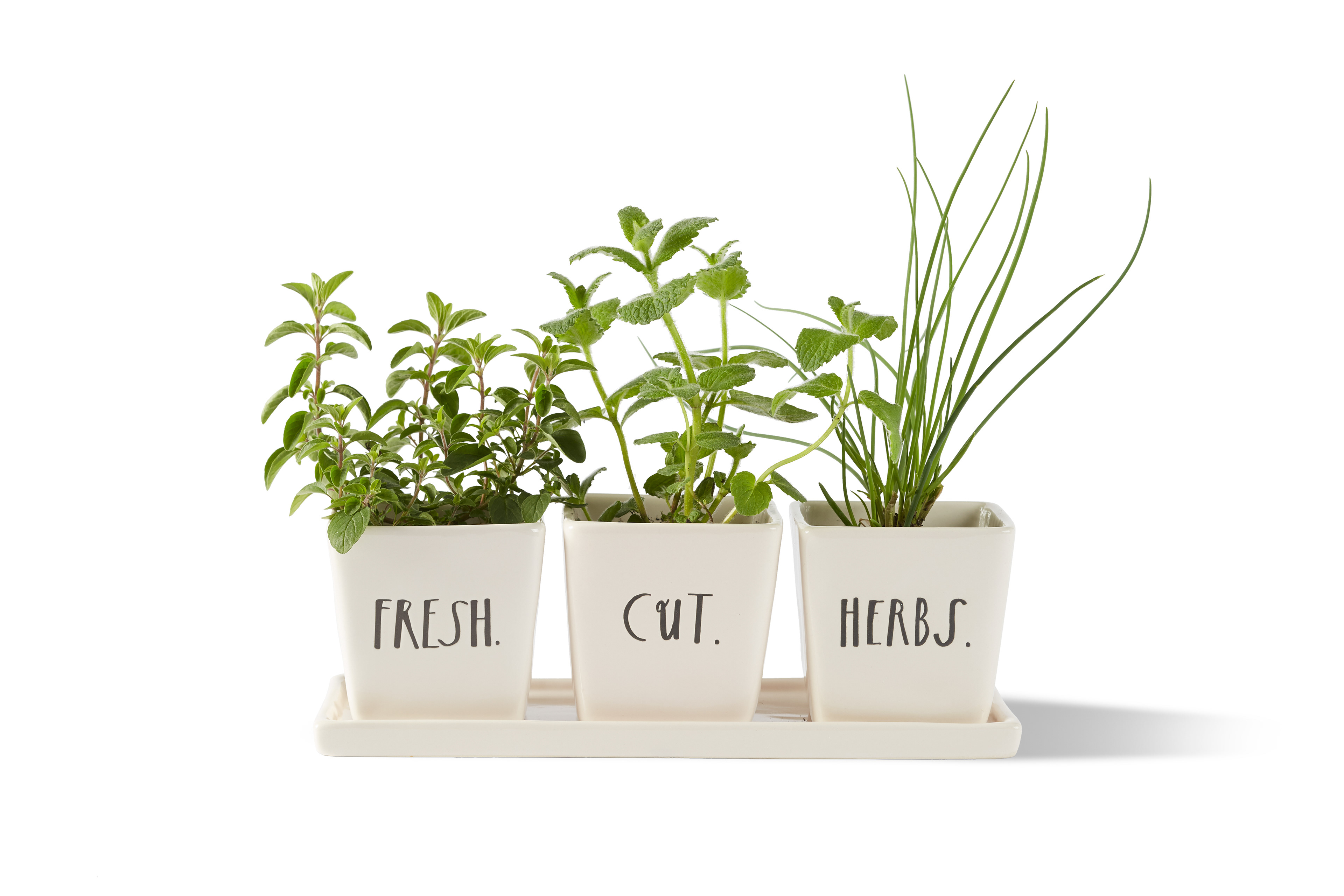 Windowsill Herb Pots