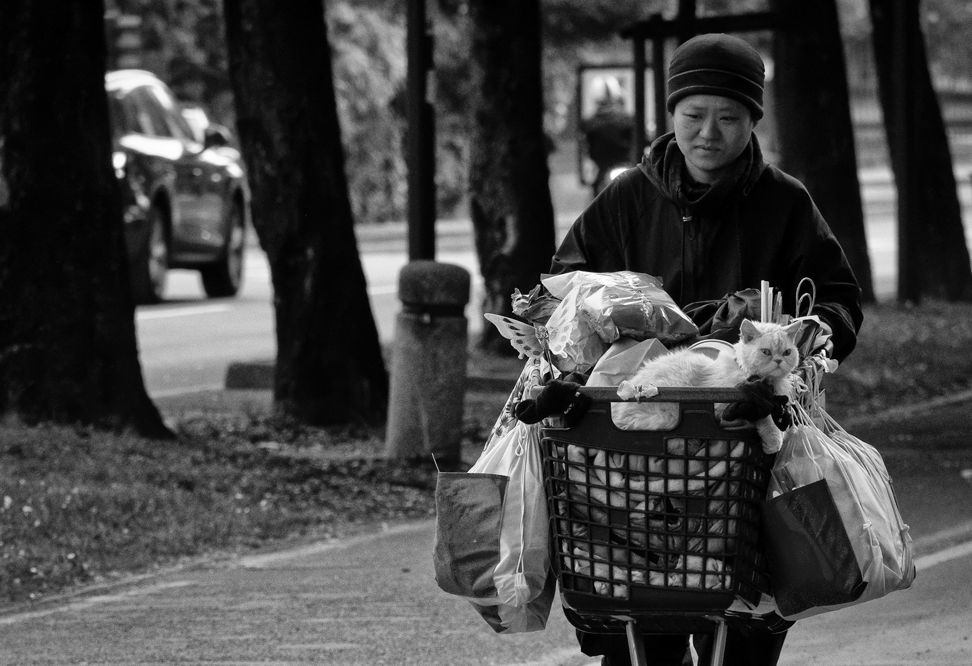 The woman and the cat