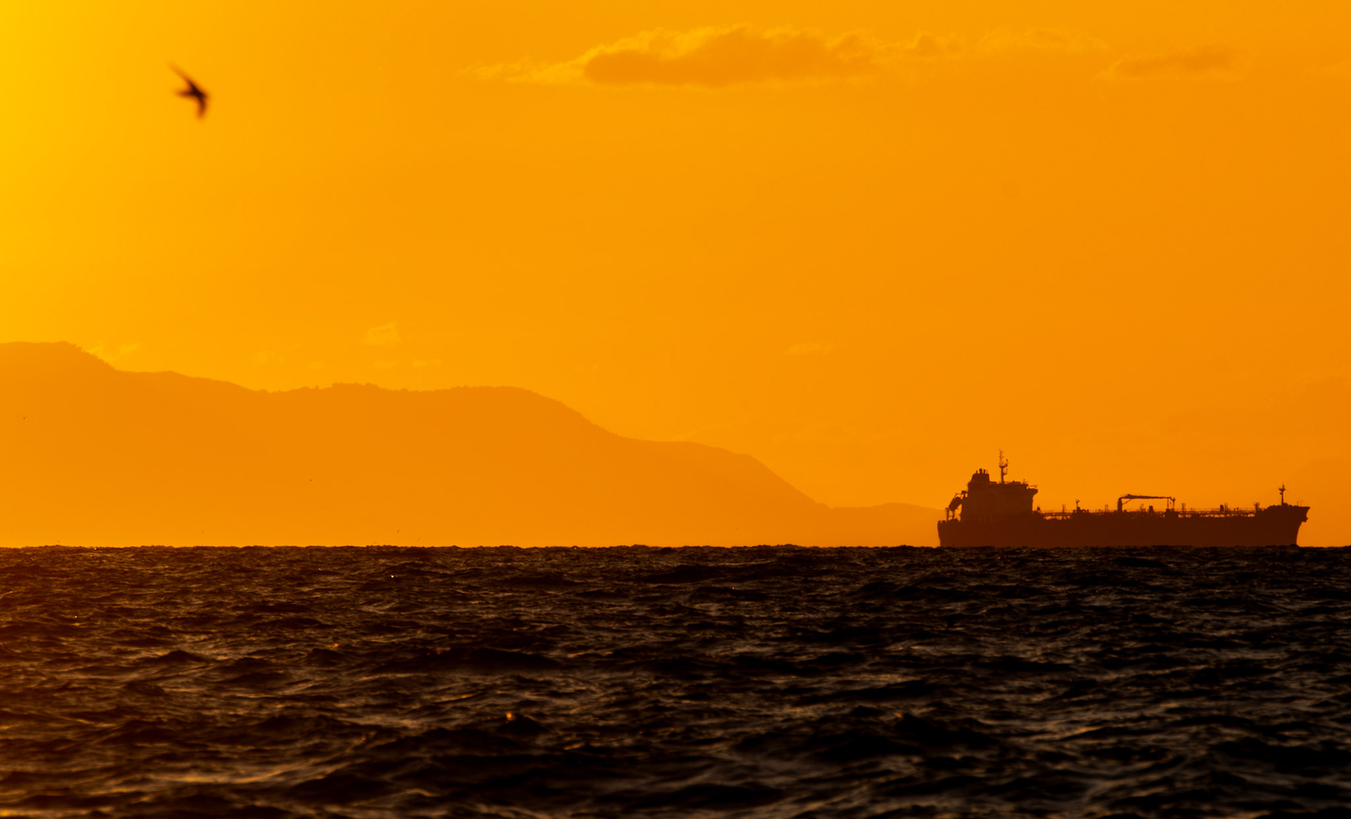 Black Sea