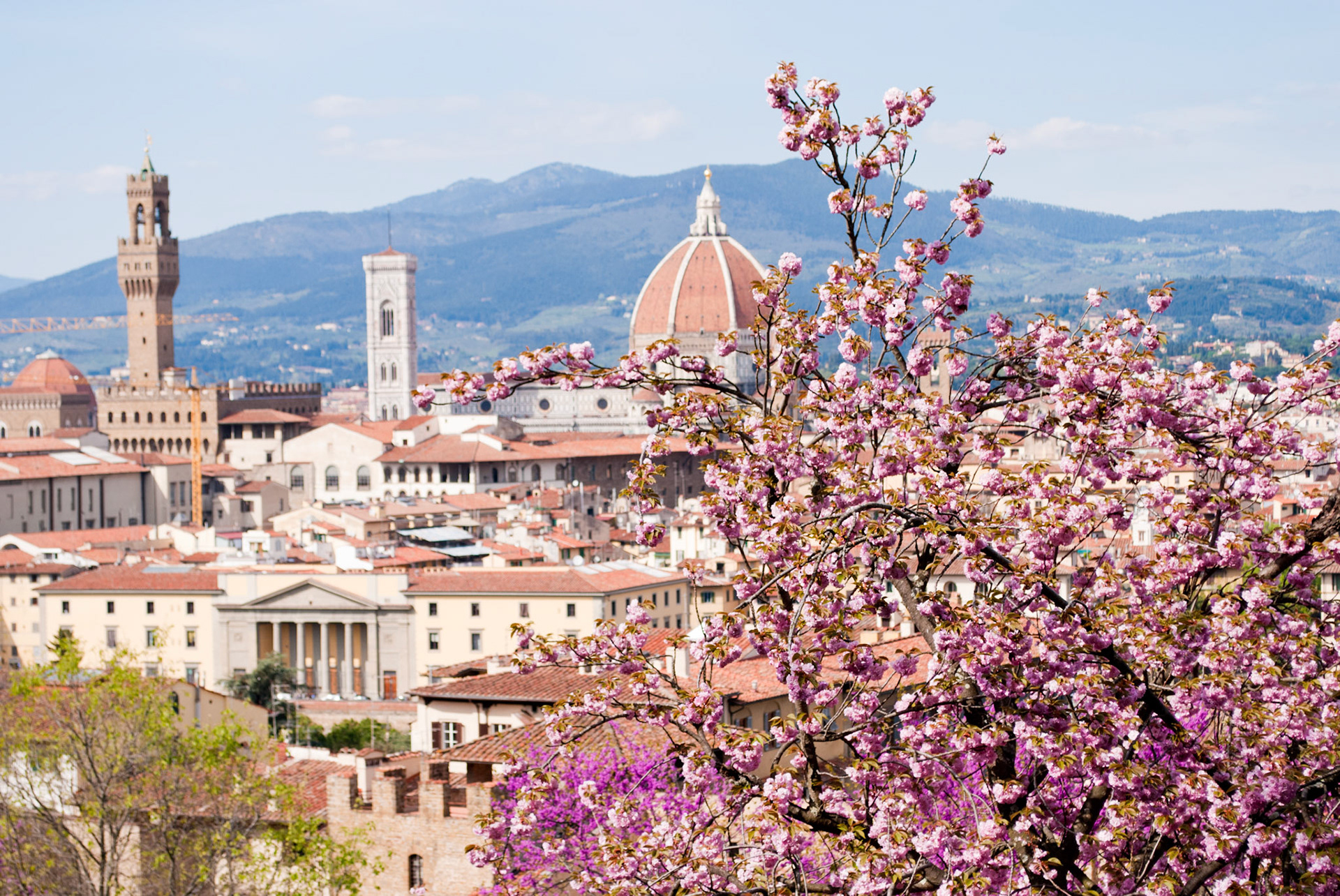 I took this photo in the first year I lived in Florence, during the spring. In my perspective, spring is the best season in Florence: the temperature and weather are good, and the nature invades the most beautiful renaissance city of the world, with its plants and trees.
