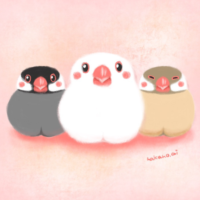 10月24日は文鳥の日