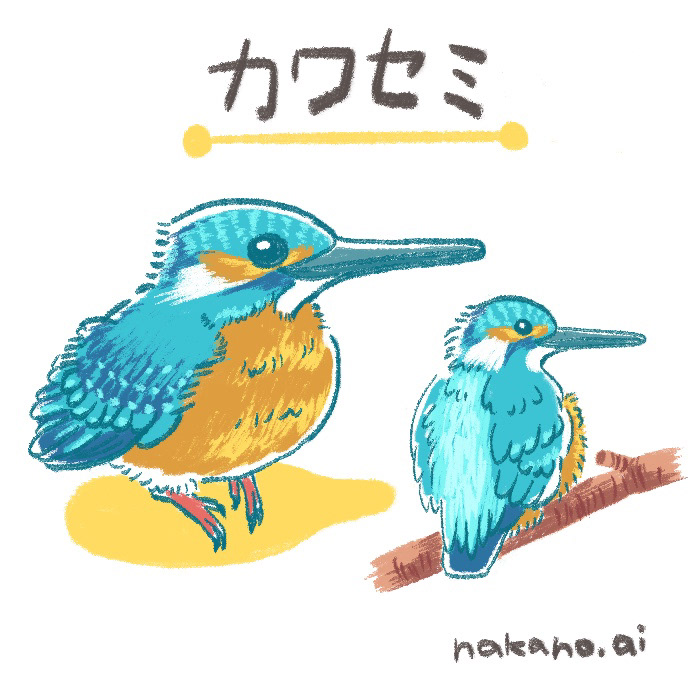 カワセミ