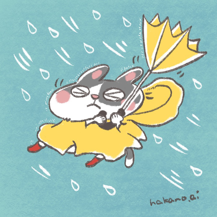 台風