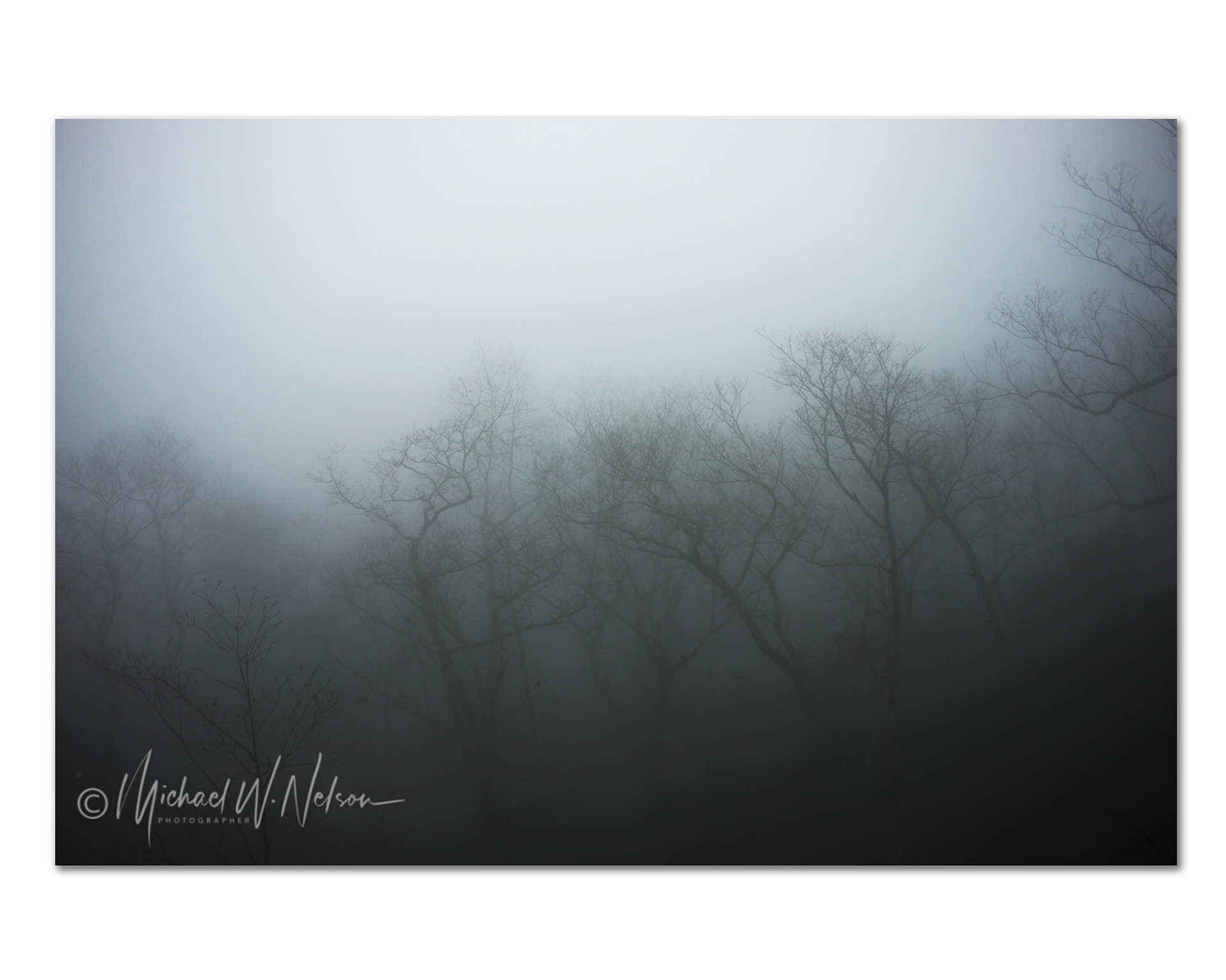 In the Fog #1