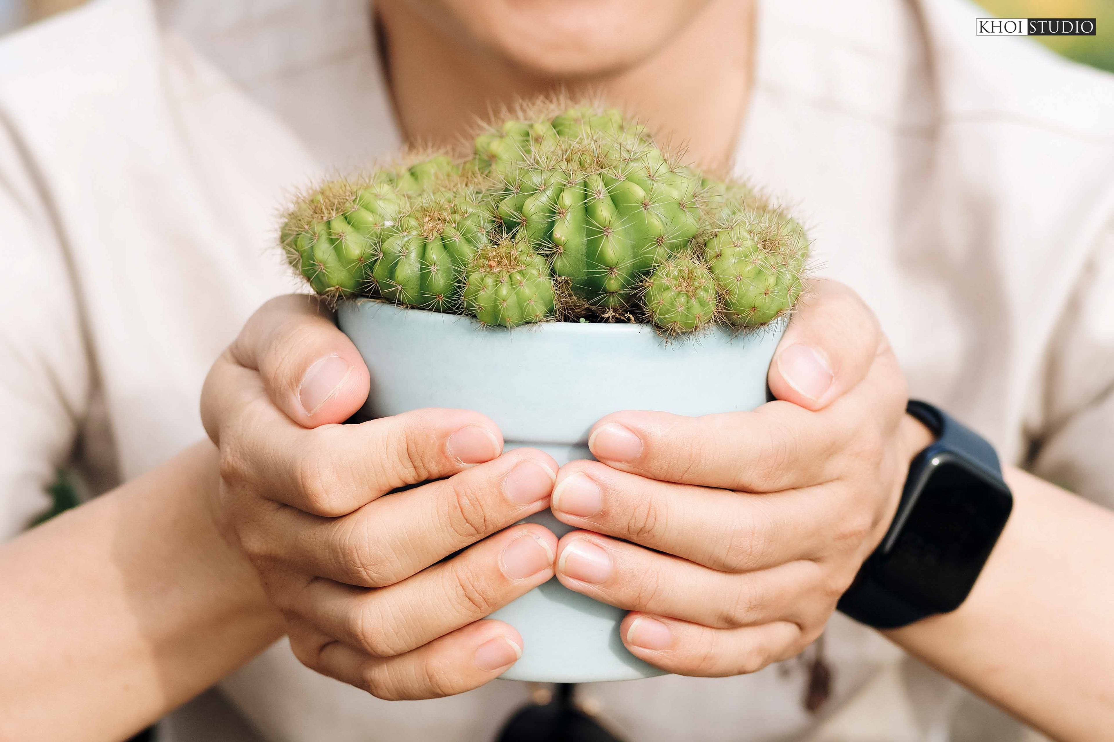 Hoi An Group Photography | Tourists from Sai Gon