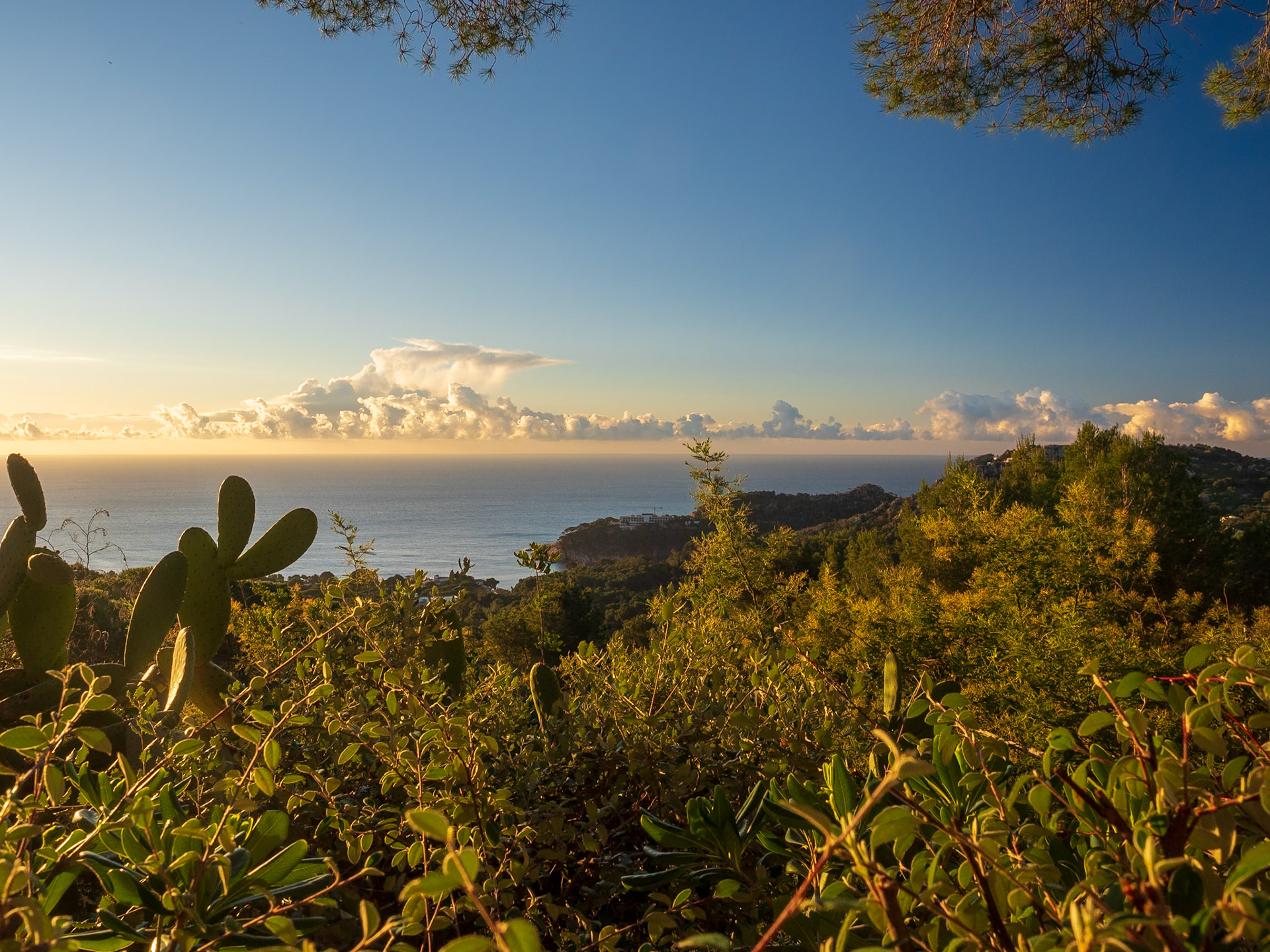 Sonnenaufgang auf der Terrasse