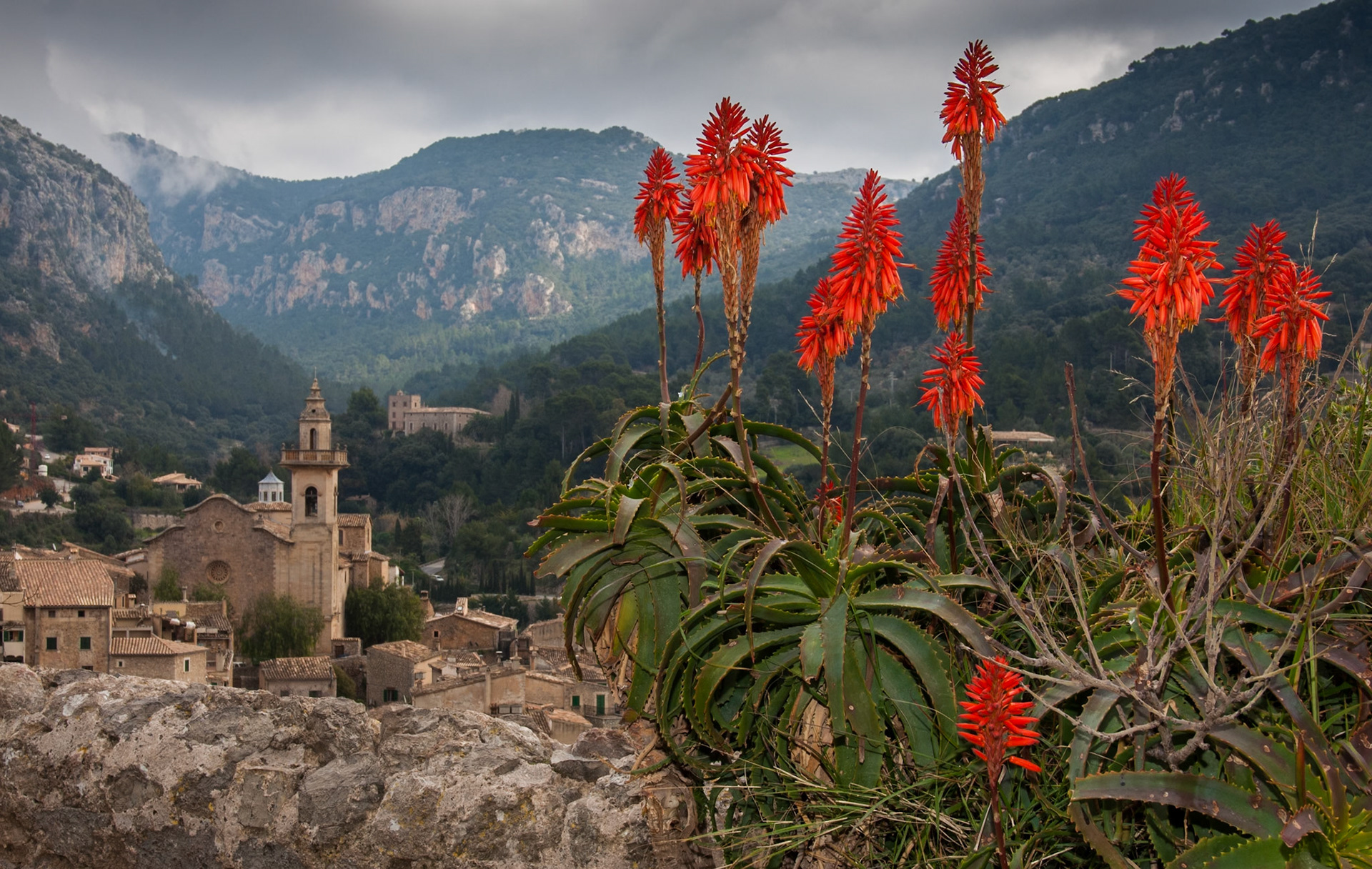 Blick auf Valldemossa