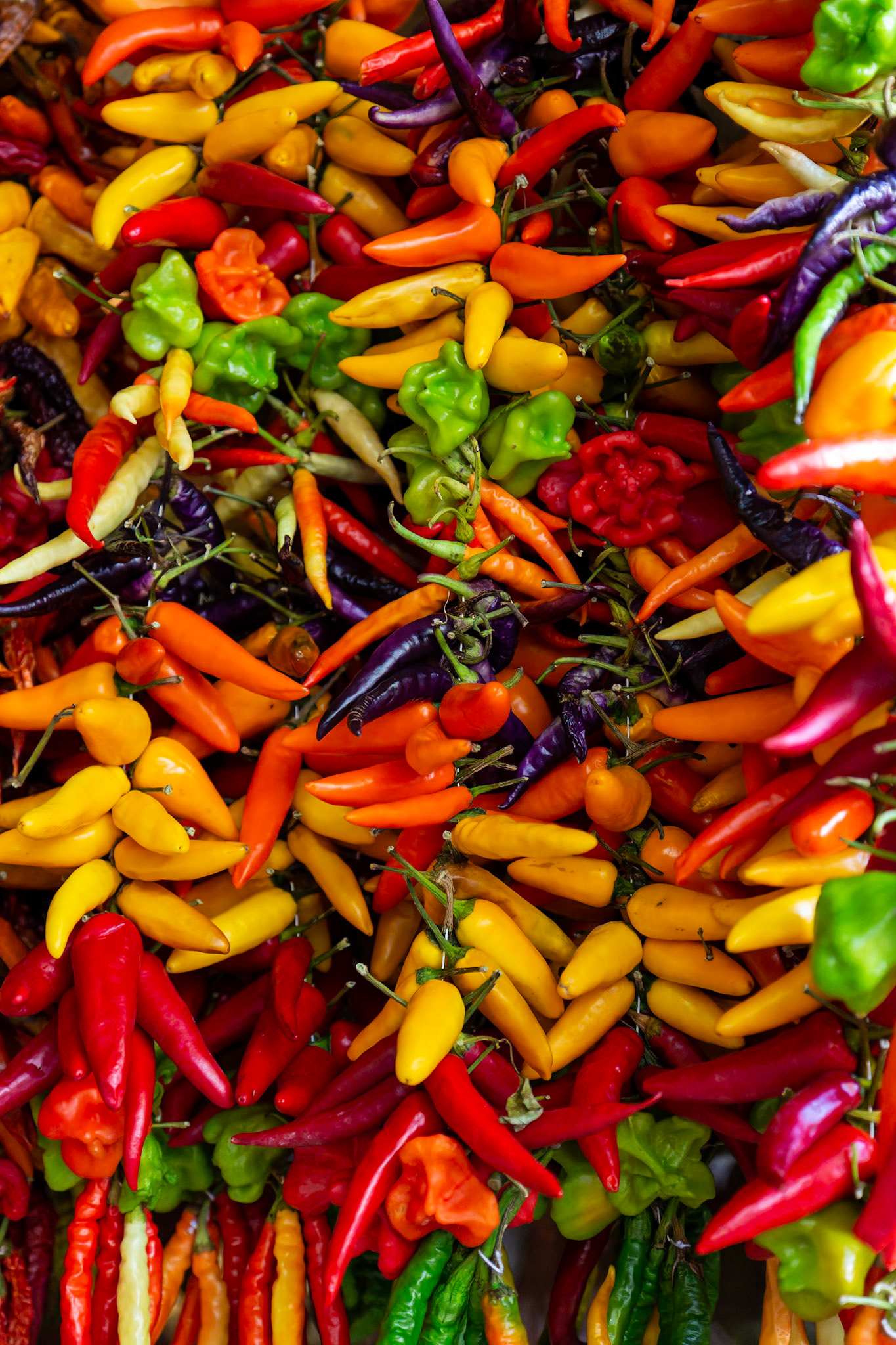 etwas scharfes in Palma de Mallorca