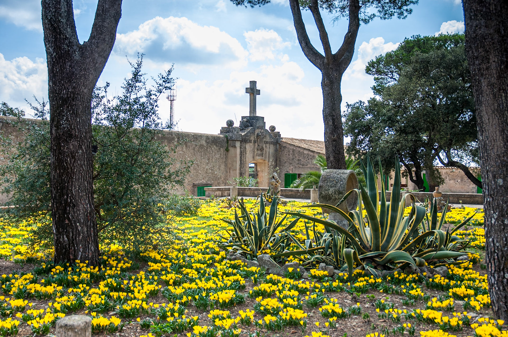 Garten des Santuari de Nostra Senyora de Cura auf Puig Randa