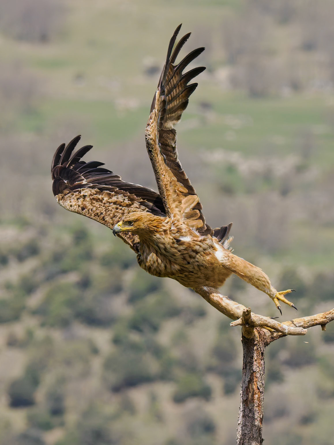 Abflug