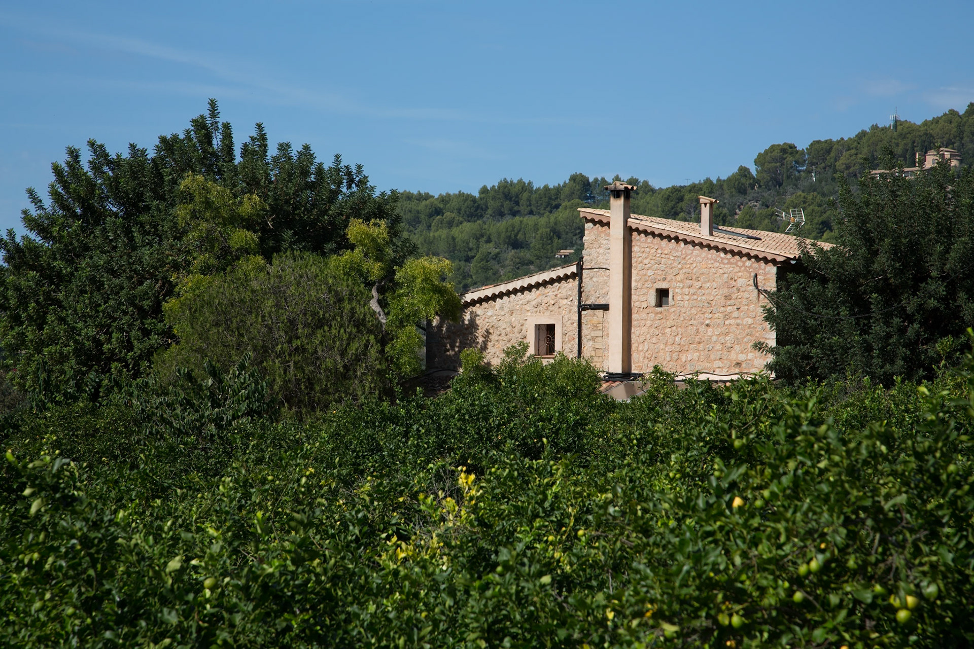Auf dem Wanderweg von Soller nach Biniaraix