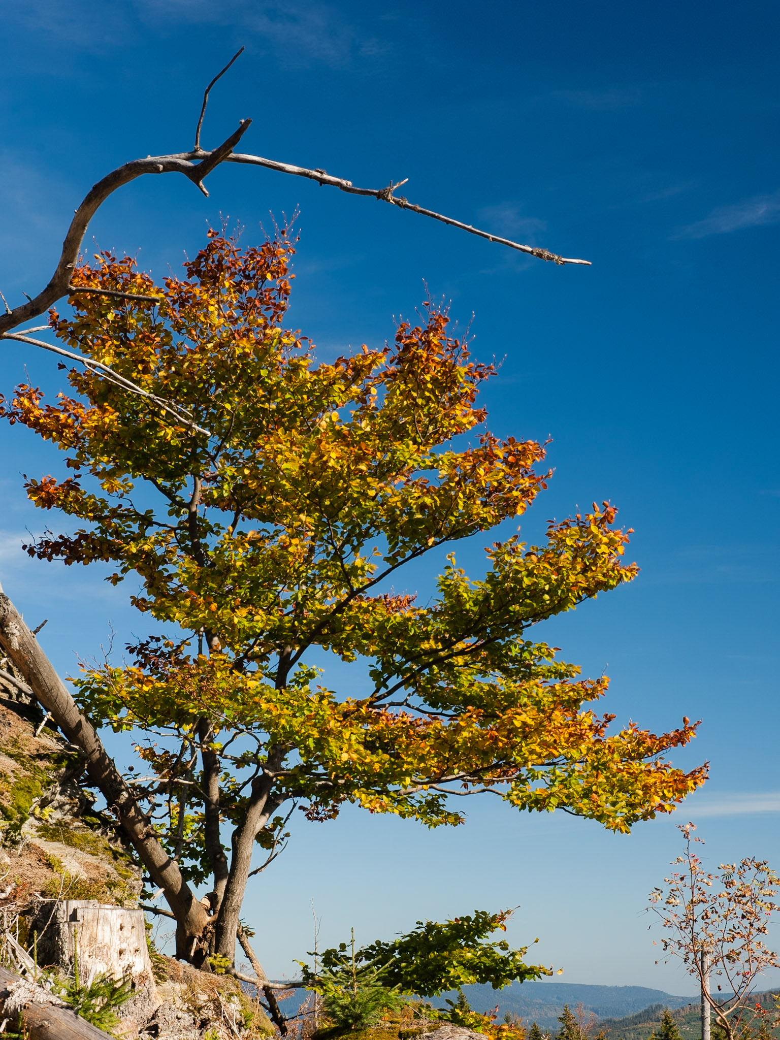 Herbstfarben