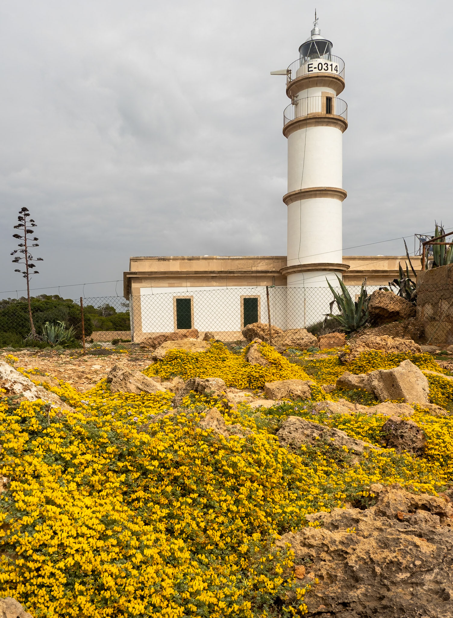 Leuchtturm in Ses Salines