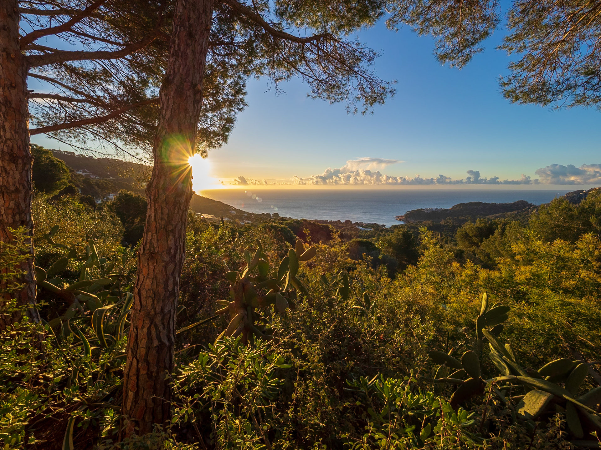 Sonnenaufgang auf der Terrasse