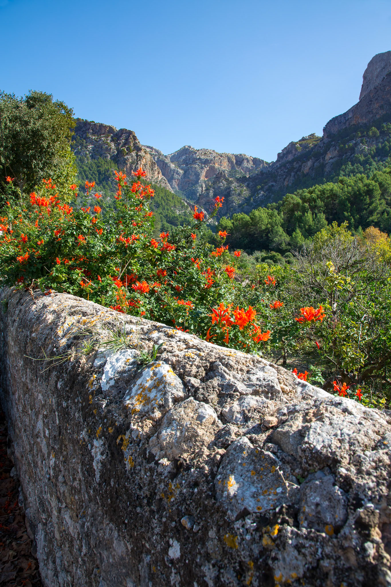 Auf dem Wanderweg von Soller nach Biniaraix