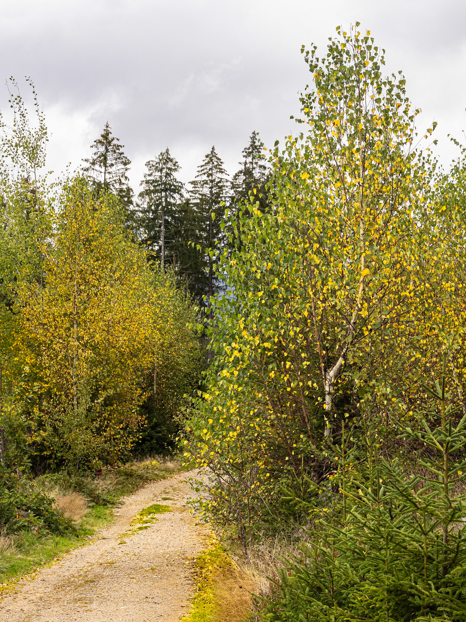 Herbstfarben