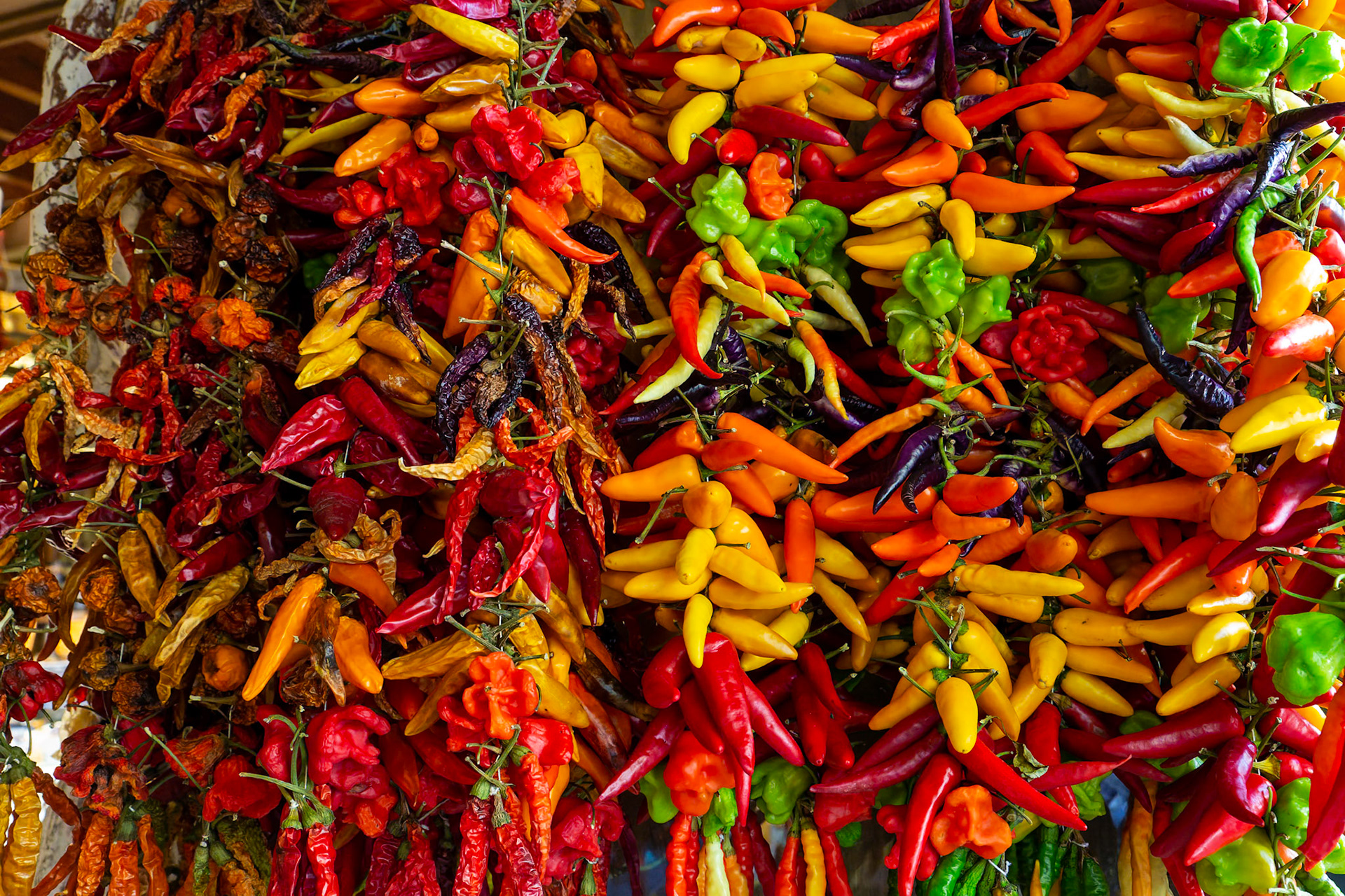 etwas scharfes in Palma de Mallorca