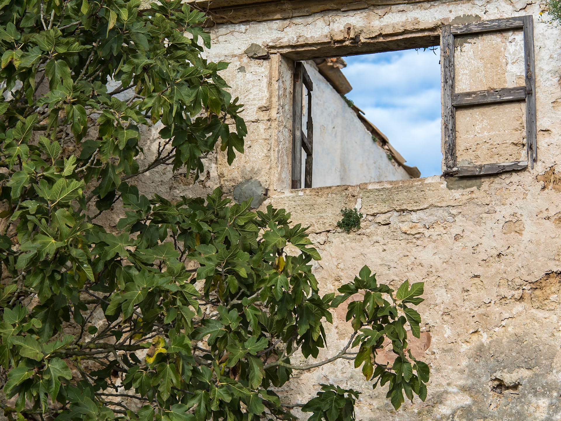 Ruine mit Vögel im Feuchtgebiet Parc natural de s’Albufera de Mallorca