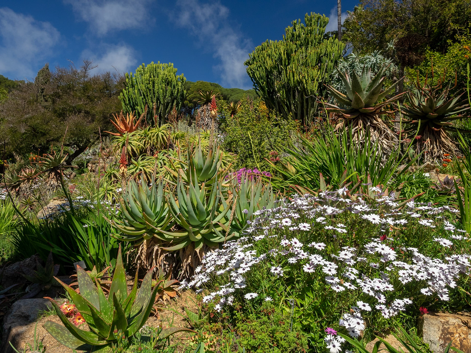Botanischer Garten Blanes