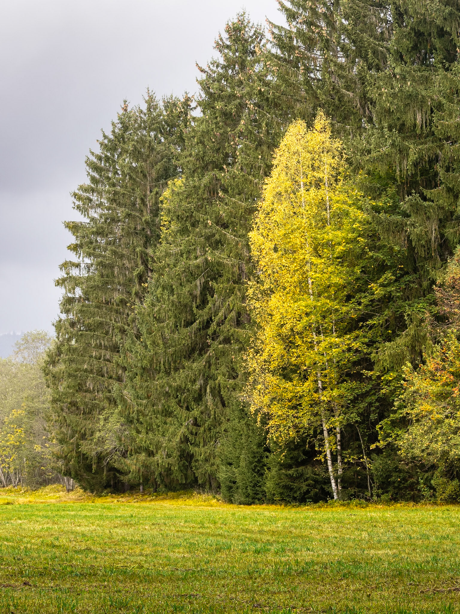 Herbstfarben