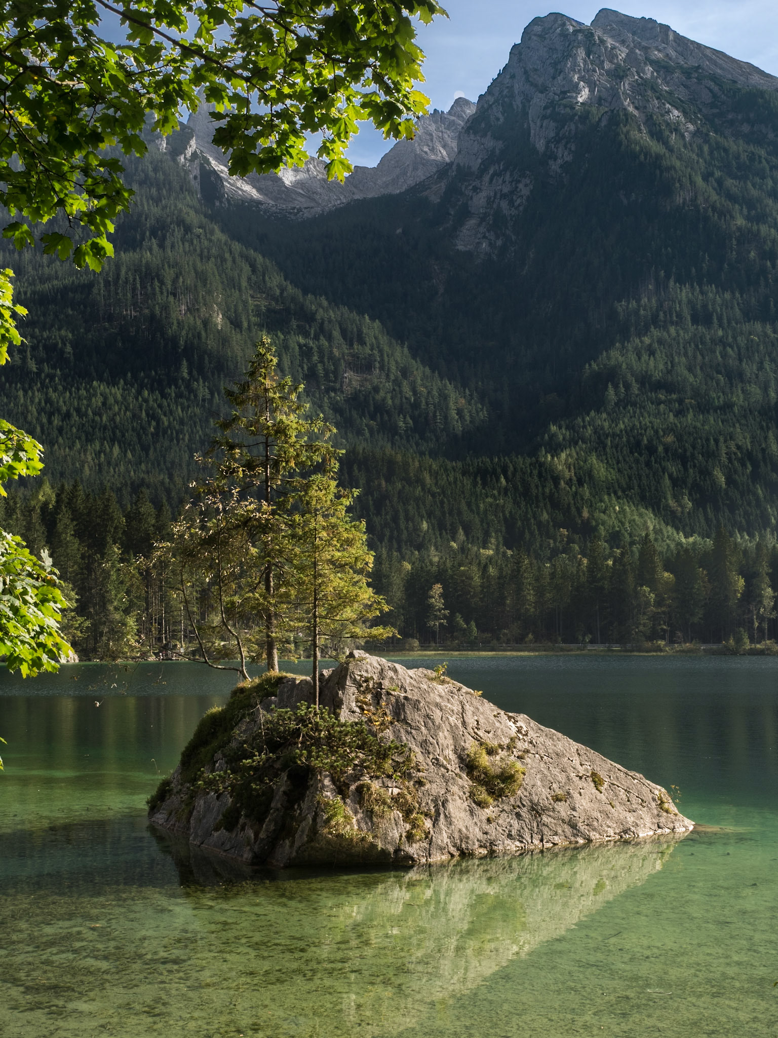 "Insel" mit Baum auf dem HIntersee