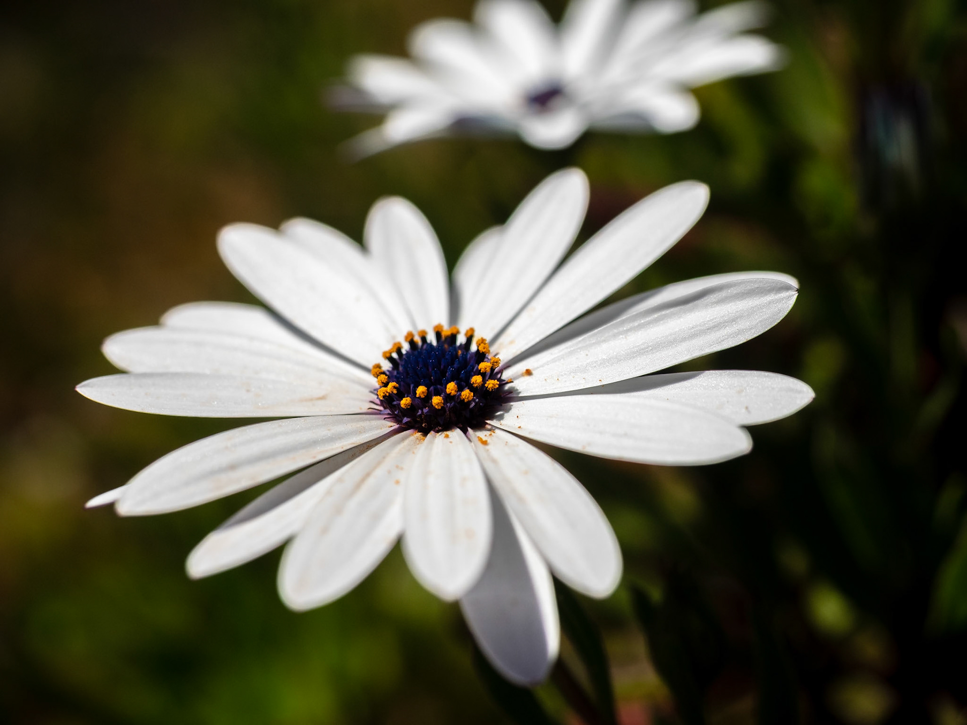 Botanischer Garten Blanes
