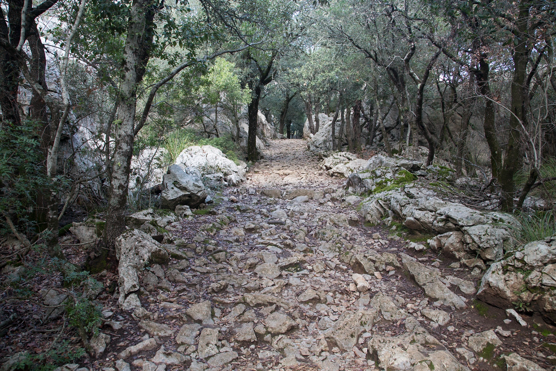 Wanderweg bei Kloster LLuc