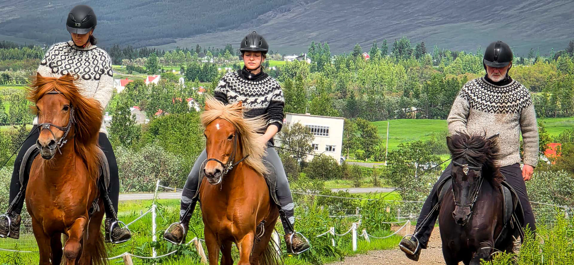 Icelandic Horse Demonstration at Brúnir Horse Farm
