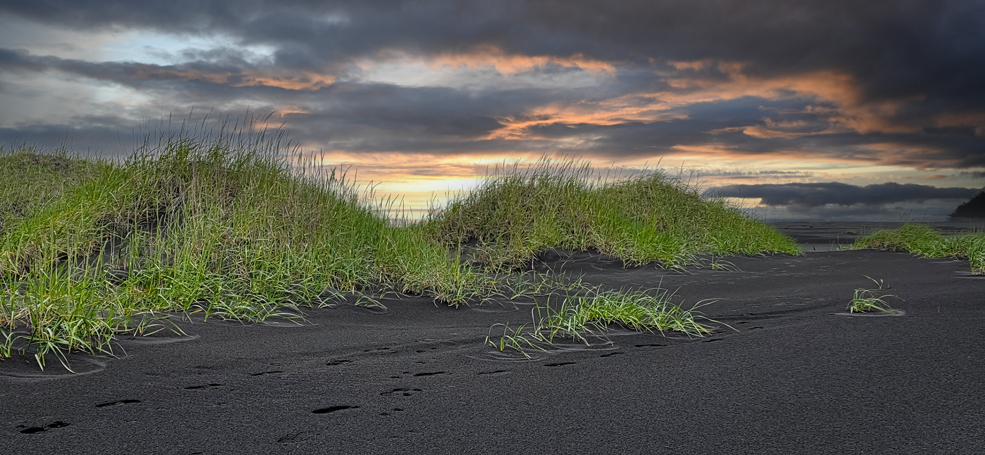 Black Sand Beach in Djúpivogur, Iceland