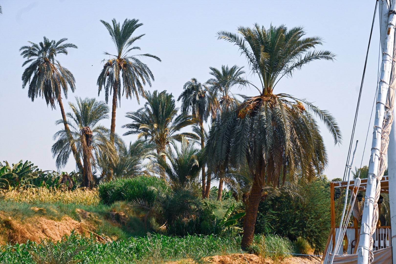 Luxor, escursioni, nilo
